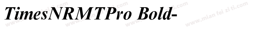 TimesNRMTPro Bold字体转换